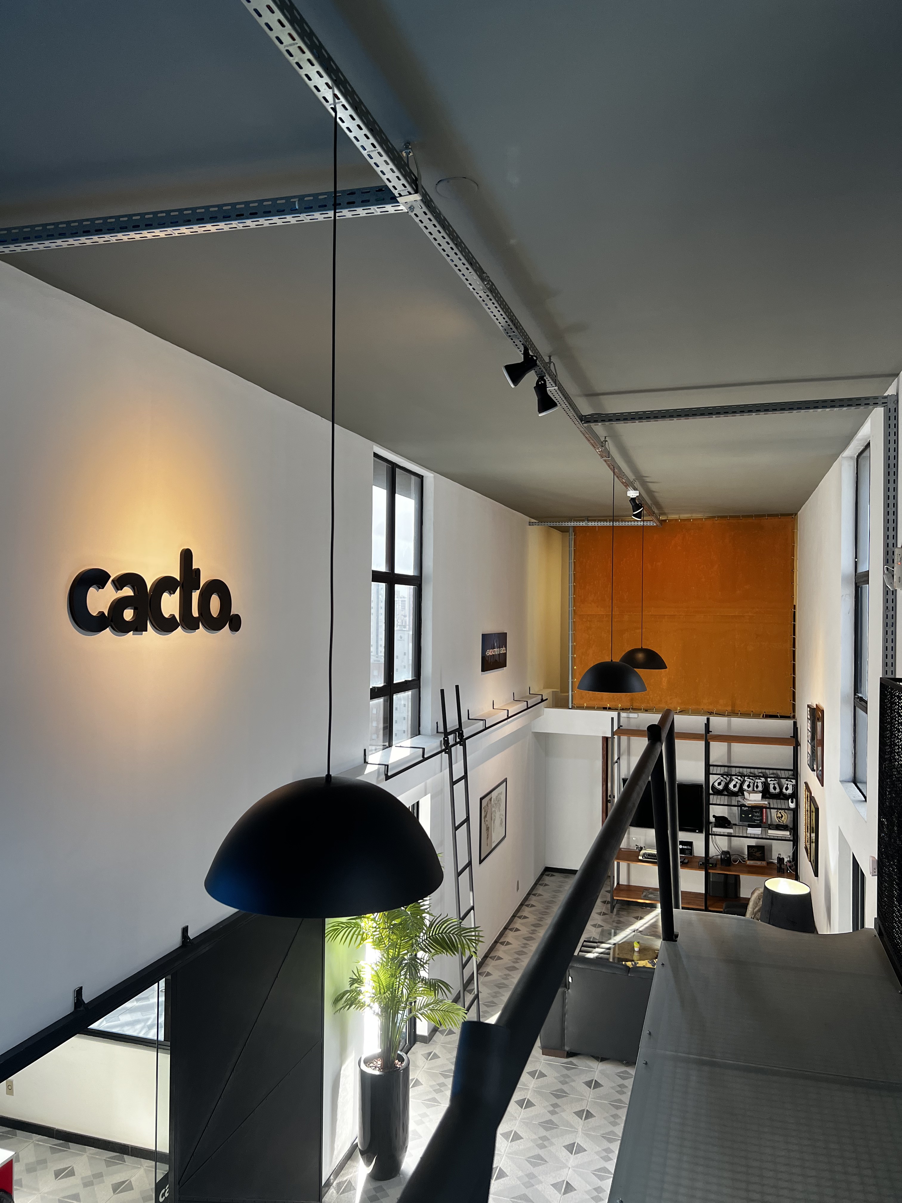 Cacto Publicidade — Logo iluminado
